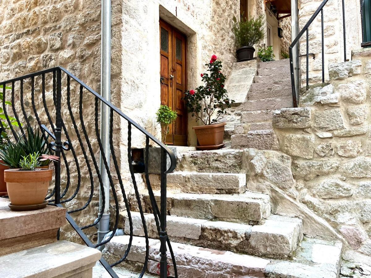 Healthystudio512 Apartments Kotor Exterior photo