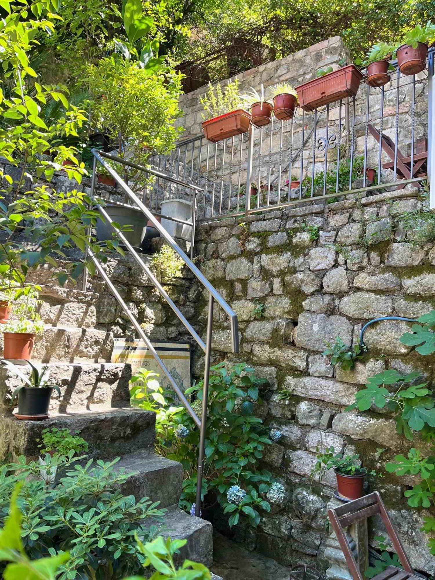 Healthystudio512 Apartments Kotor Exterior photo